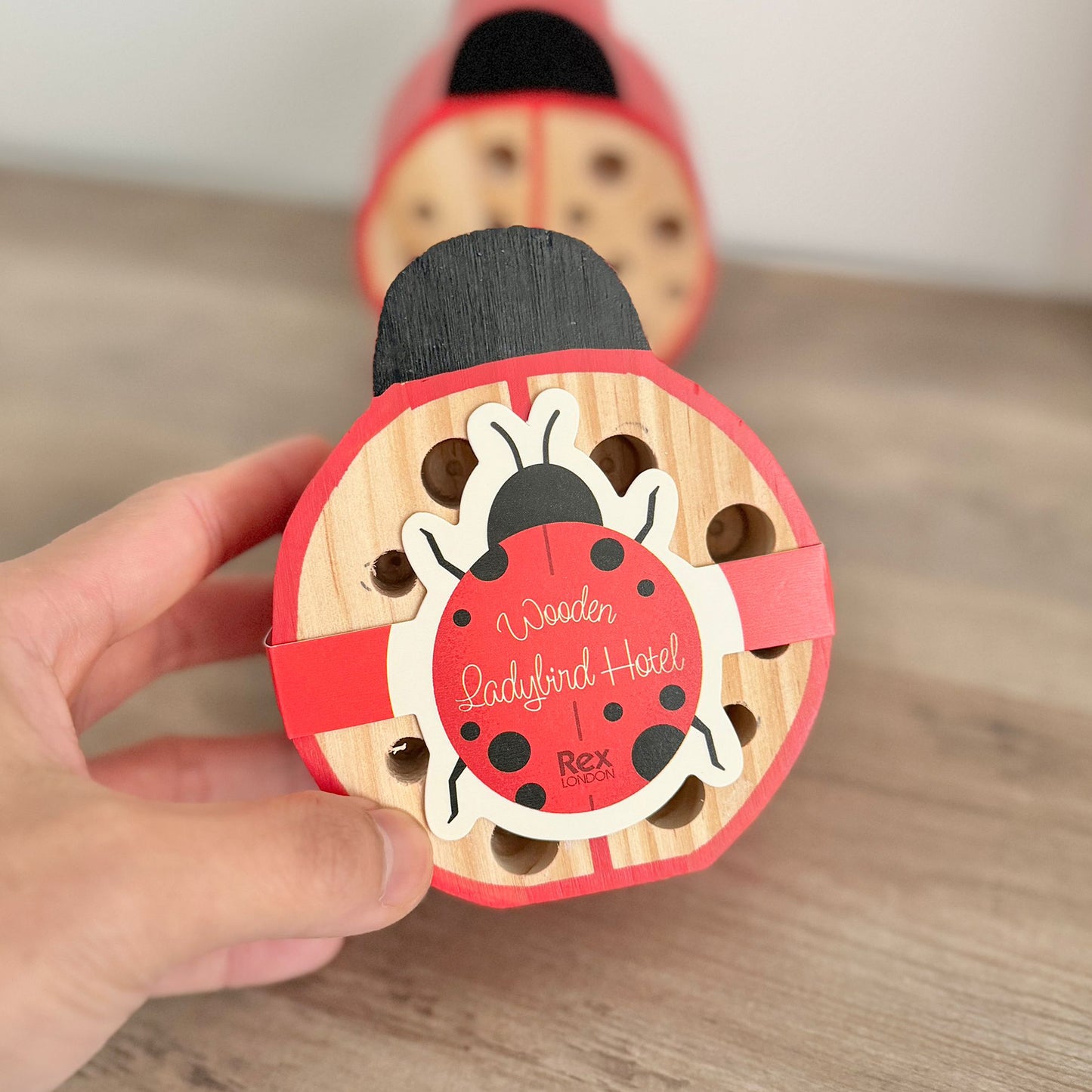 Ladybird Bug Hotel - Lady Bird Insect House - Gifts for Gardeners