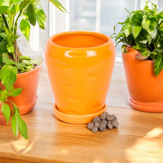 Grow Your Own Parsley Gift Set with Carrot Planter and Water Dish