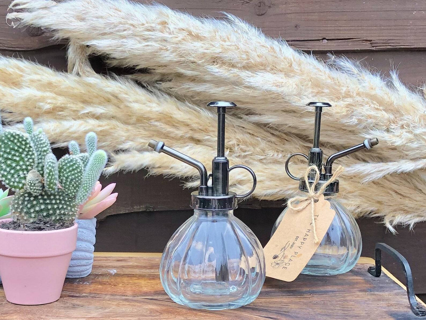 Glass House Plant Water Mister - Indoor Plant Atomiser