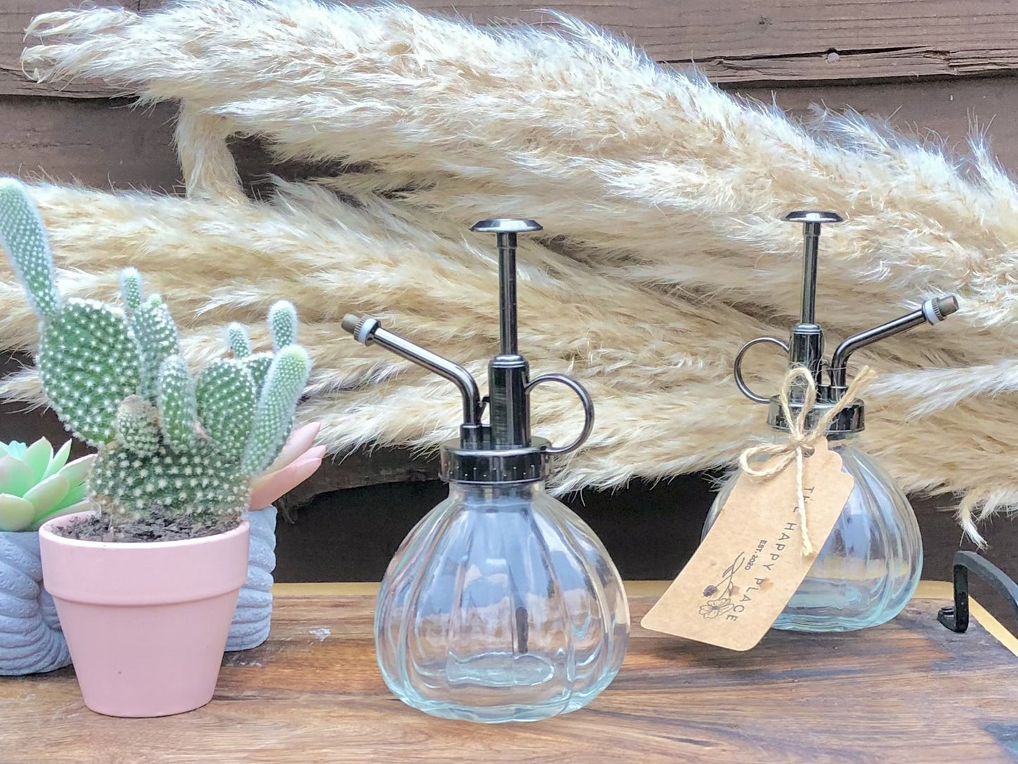 Glass House Plant Water Mister - Indoor Plant Atomiser