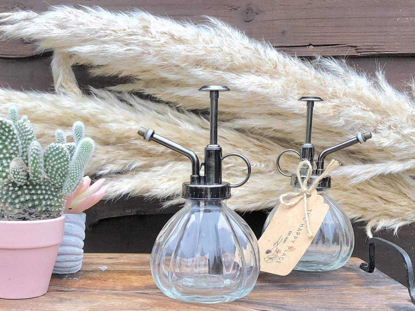 Glass House Plant Water Mister - Indoor Plant Atomiser