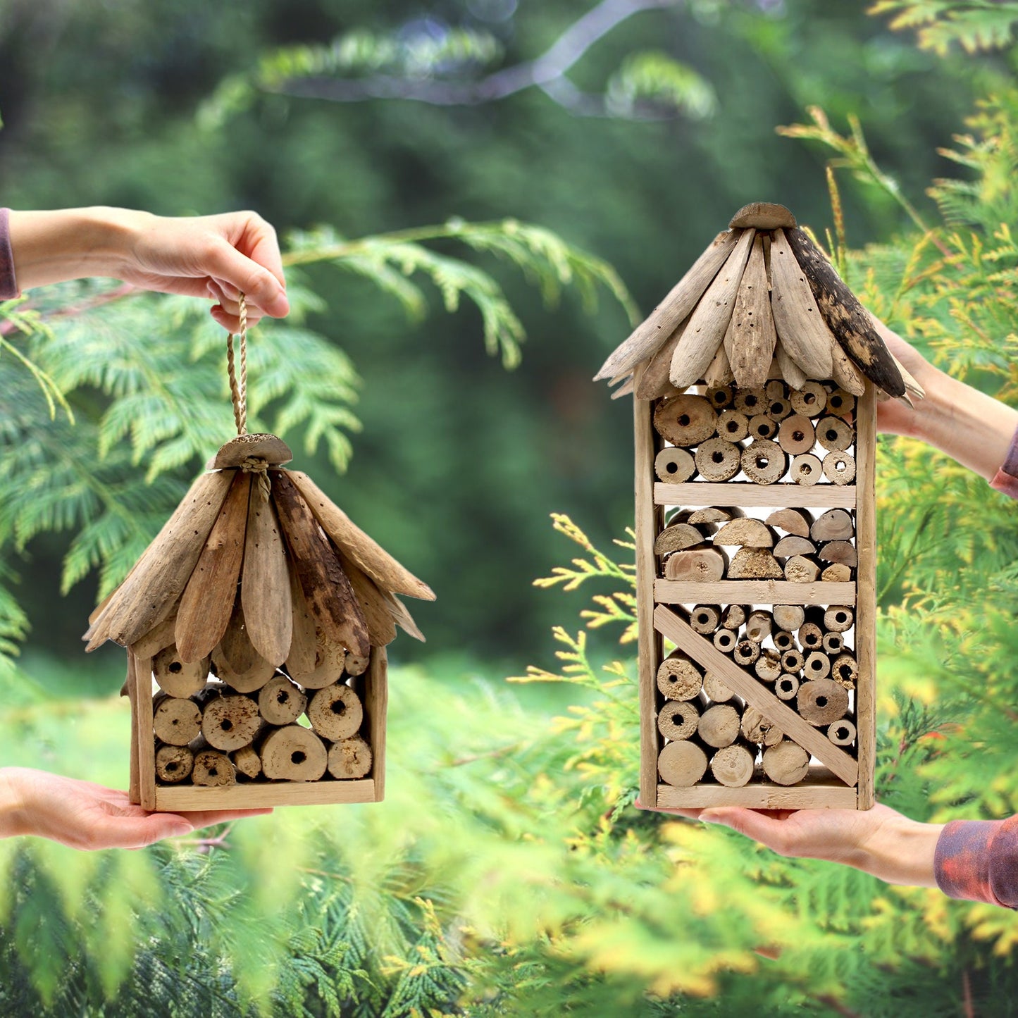 Driftwood Hanging Bee Hotel / Insect Box / Bug Box  - Recycled Wood Insect Box For Garden - Garden Decor