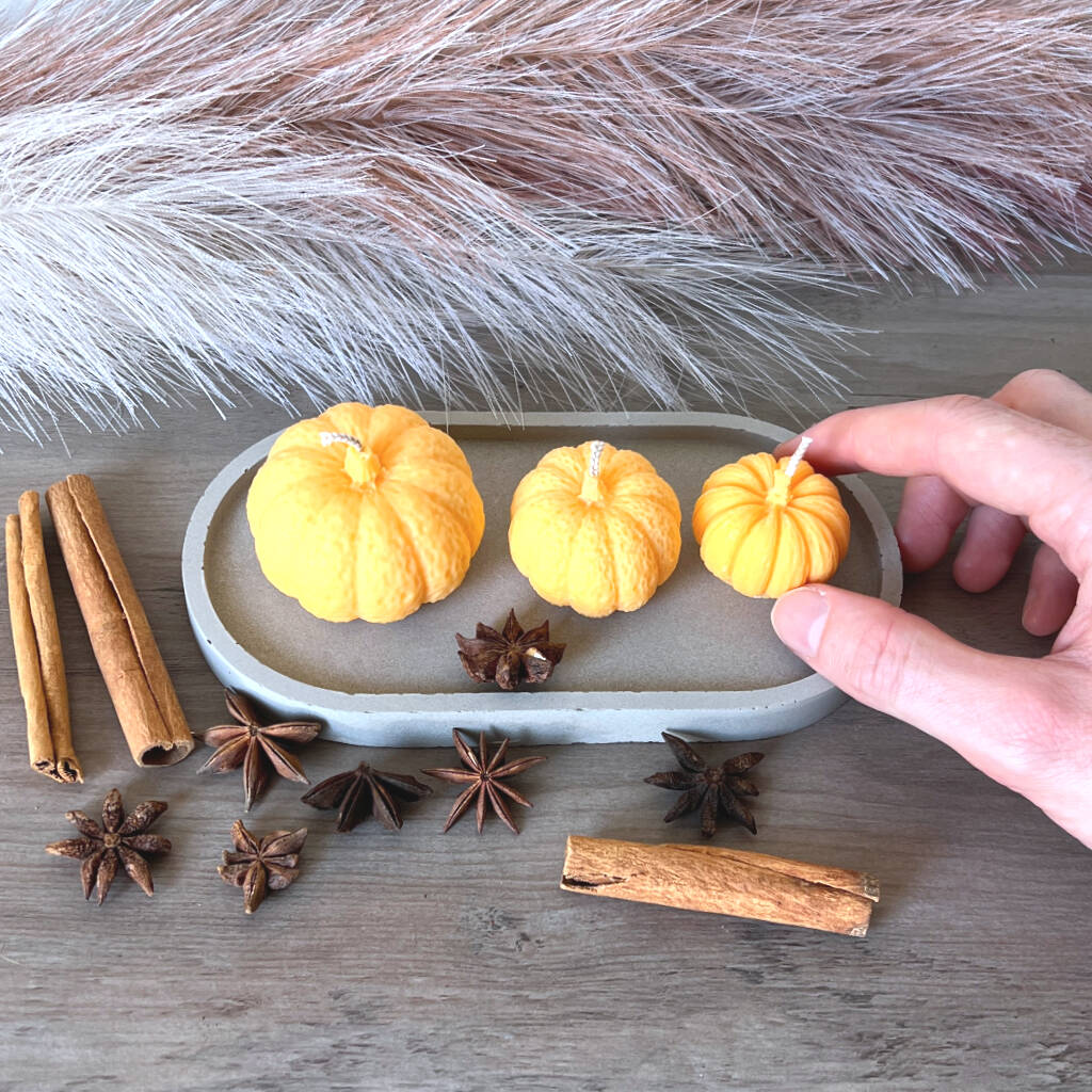 Spiced Pumpkin Aesthetic Candles - Natural Soy Wax Candle for Halloween