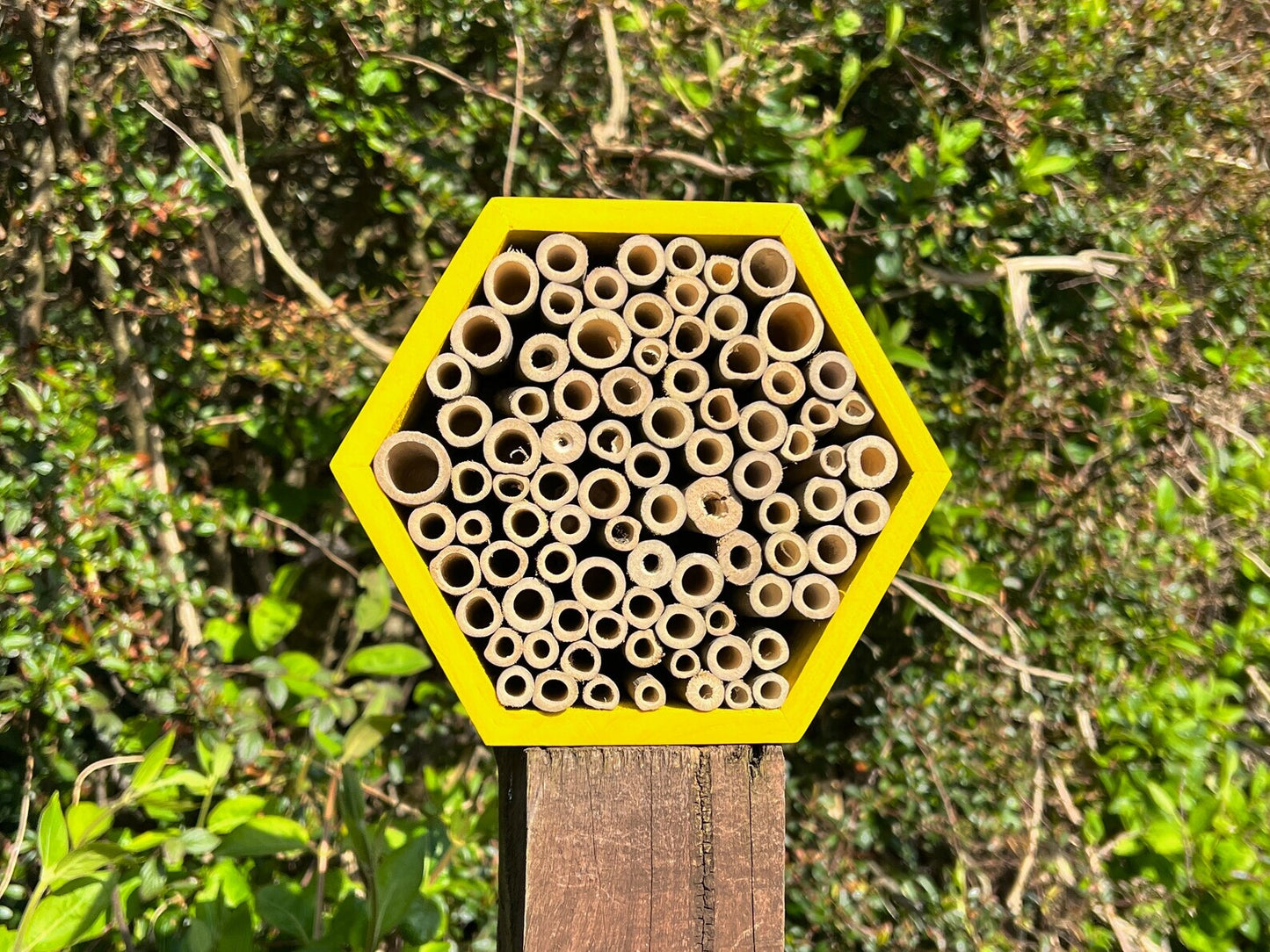 Wooden Bee Hive Insect Hotel - Sustainable Bee Habitat