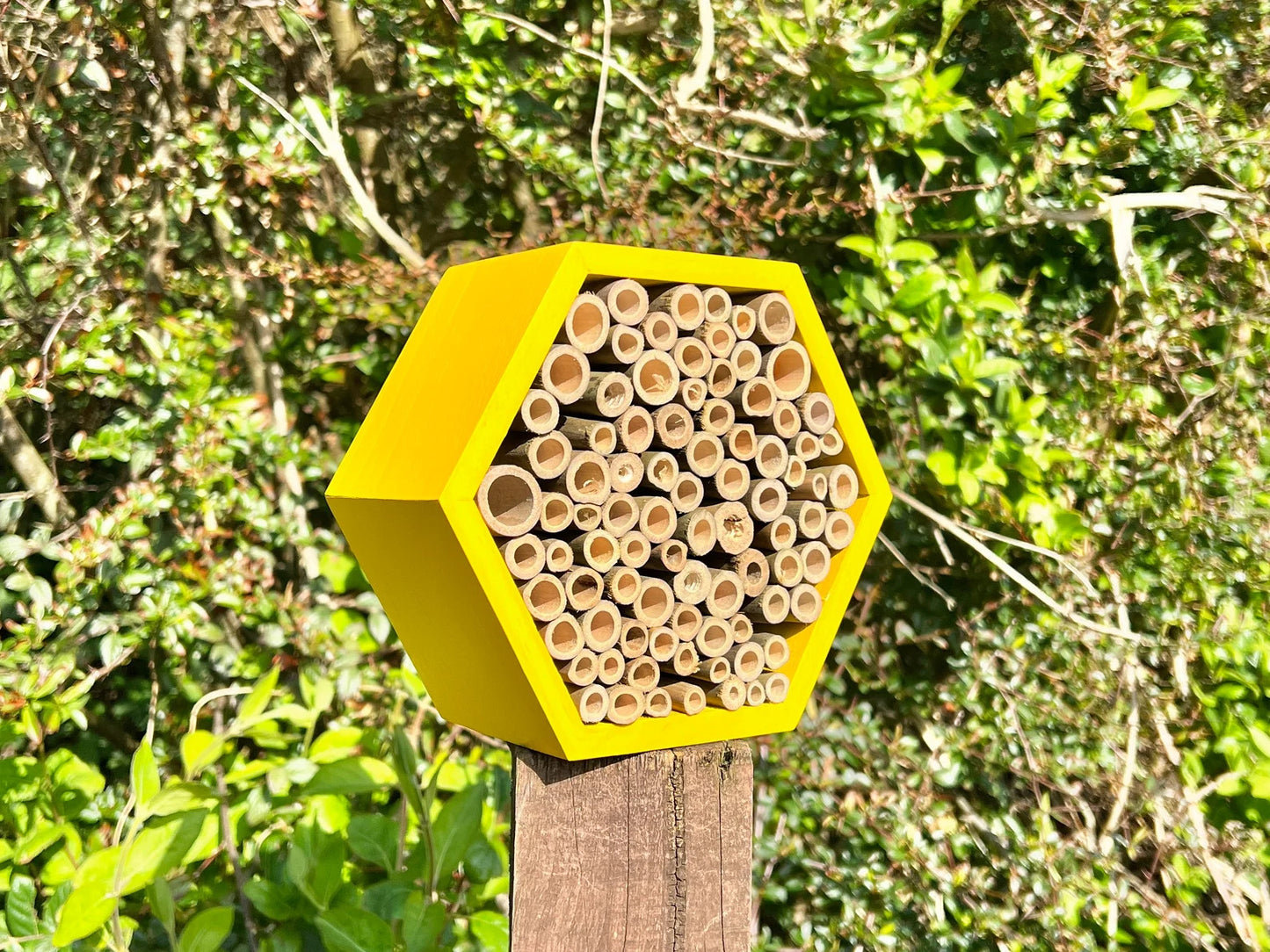 Wooden Bee Hive Insect Hotel - Sustainable Bee Habitat