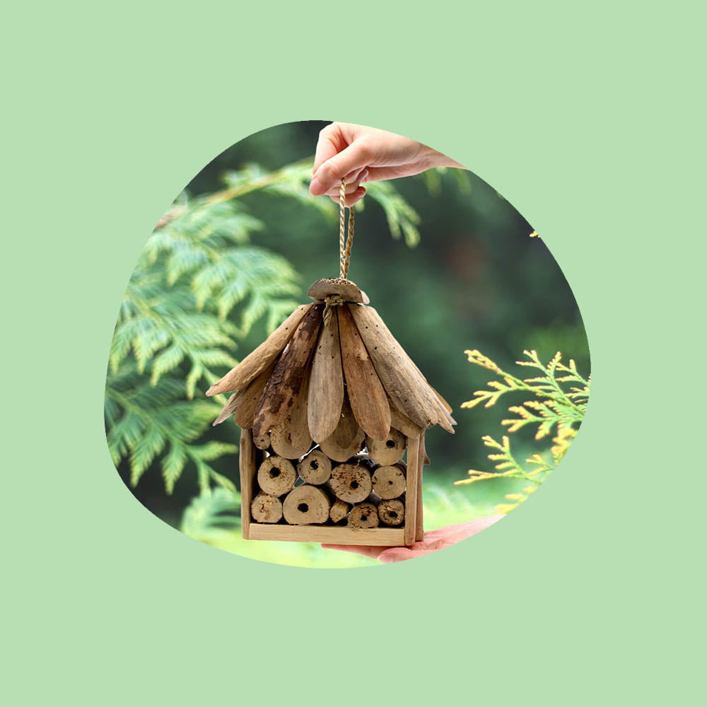 hands holding an insect hotel made with driftwood in the garden.