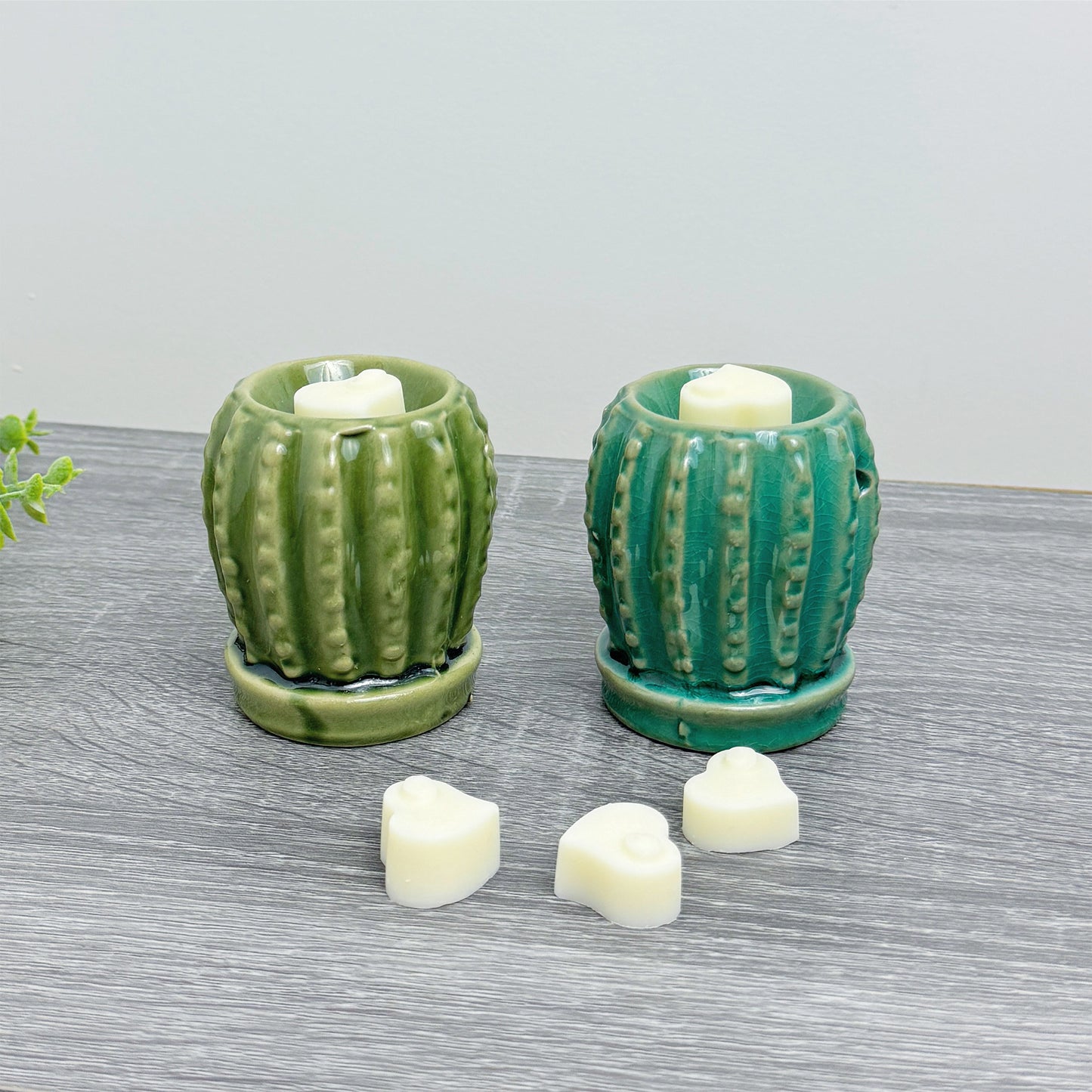 Cute Cactus Wax Burner with Wax Melts - Barrel Cactus Oil Burner Gift Set