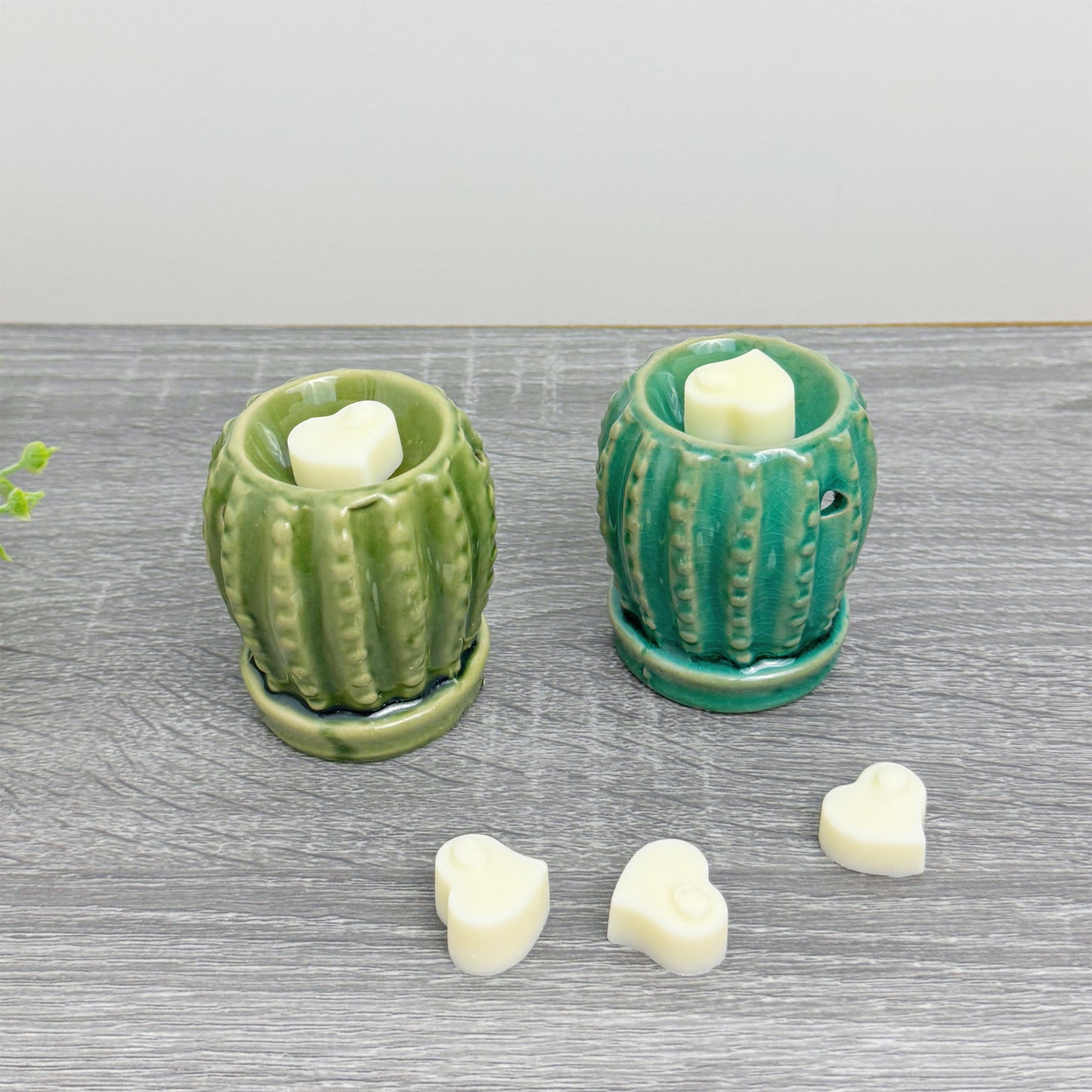 Cute Cactus Wax Burner with Wax Melts - Barrel Cactus Oil Burner Gift Set