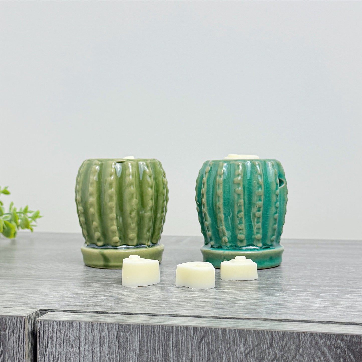 Cute Cactus Wax Burner with Wax Melts - Barrel Cactus Oil Burner Gift Set