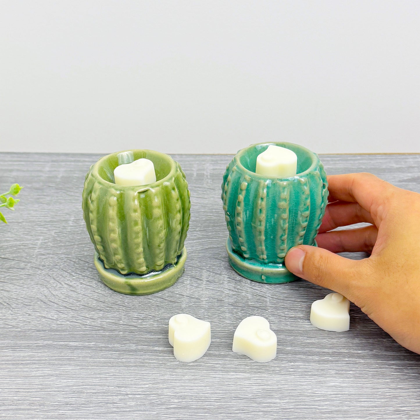 Cute Cactus Wax Burner with Wax Melts - Barrel Cactus Oil Burner Gift Set