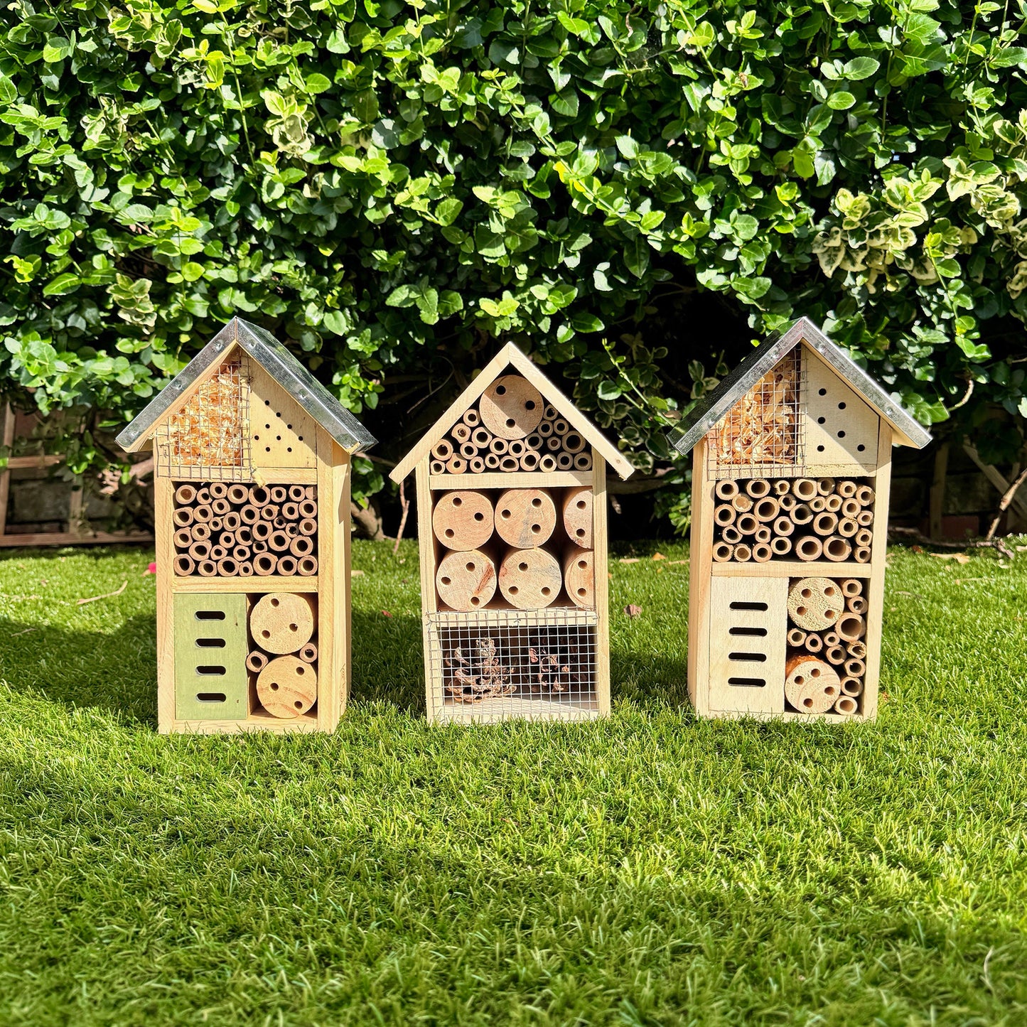 Three wooden insect hotels on grass with a green bush background