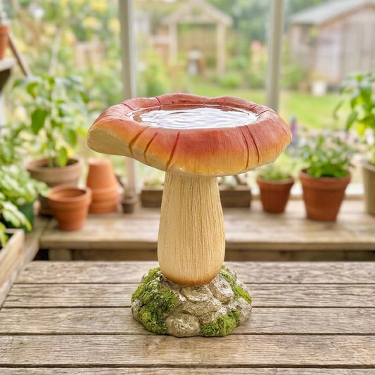Mushroom Bird Bath and Bird Feeder - Garden Gifts
