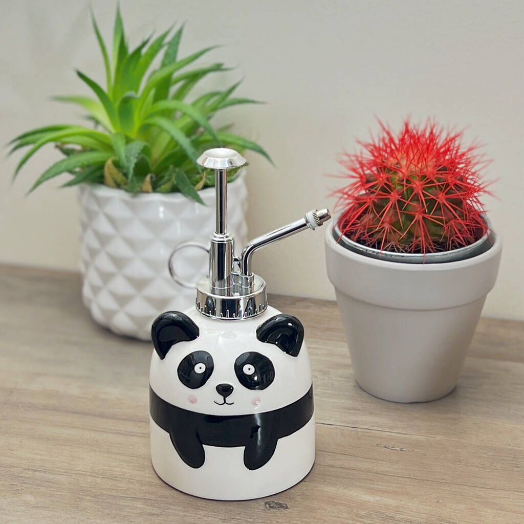 Panda Bear House Plant Mister - Indoor Plant Atomiser - House Plant Spray Bottle