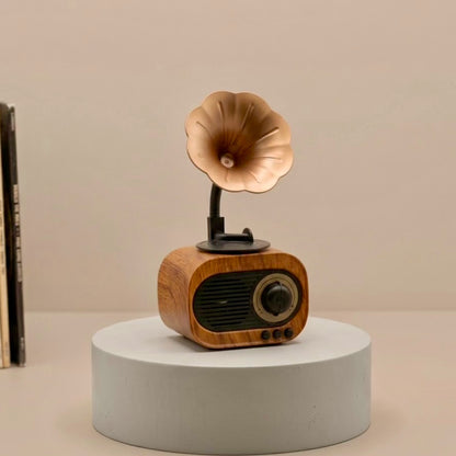Vintage Gramophone Bluetooth Speaker and FM Radio