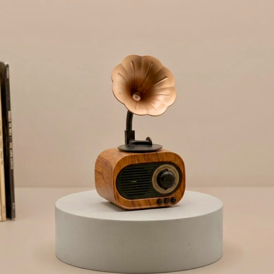 Vintage Gramophone Bluetooth Speaker and FM Radio
