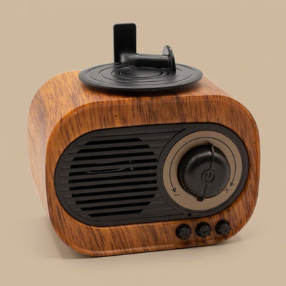 Vintage Gramophone Bluetooth Speaker and FM Radio