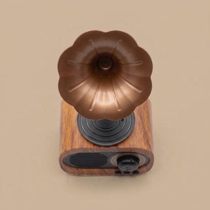 Vintage Gramophone Bluetooth Speaker and FM Radio