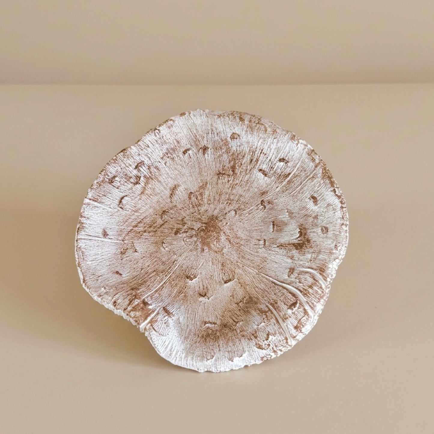 White Mushroom Bird Bath & Bird Feeder – Garden Ornament