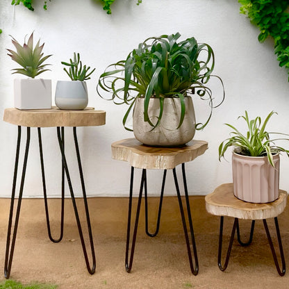 Three Indoor House Plant Stands - Wooden Plant Stands - Plant Display Stands