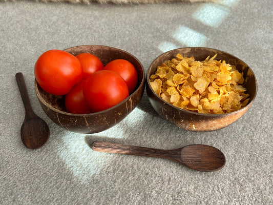 Sustainable Coconut Shell Cereal Bowl with Spoon- Eco Friendly Breakfast Bowls