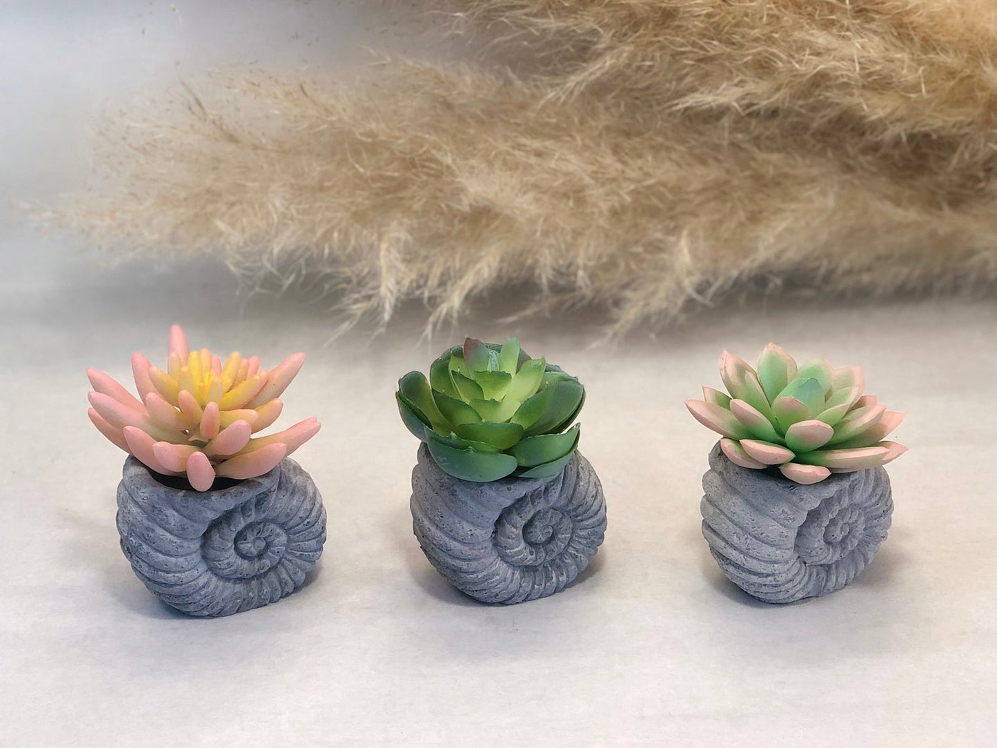 Faux Succulent in Concrete Ammonite Shell Pot