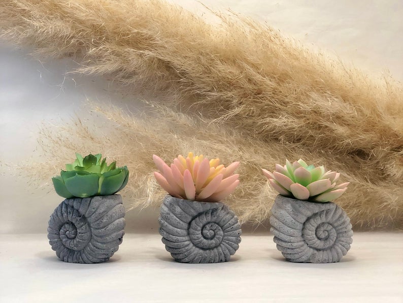 Faux Succulent in Concrete Ammonite Shell Pot