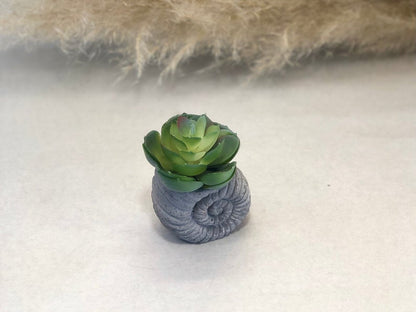 Faux Succulent in Concrete Ammonite Shell Pot