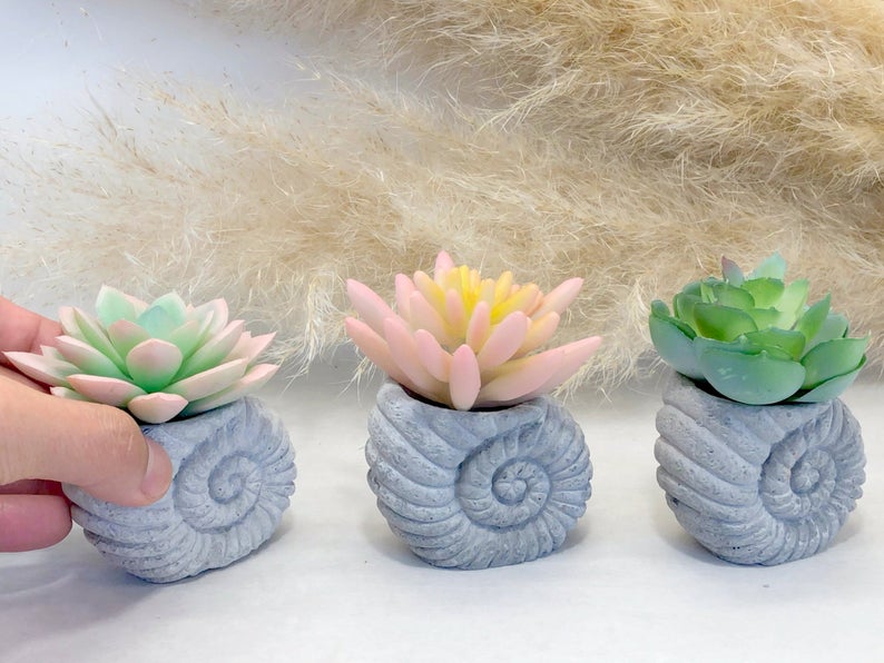 Faux Succulent in Concrete Ammonite Shell Pot