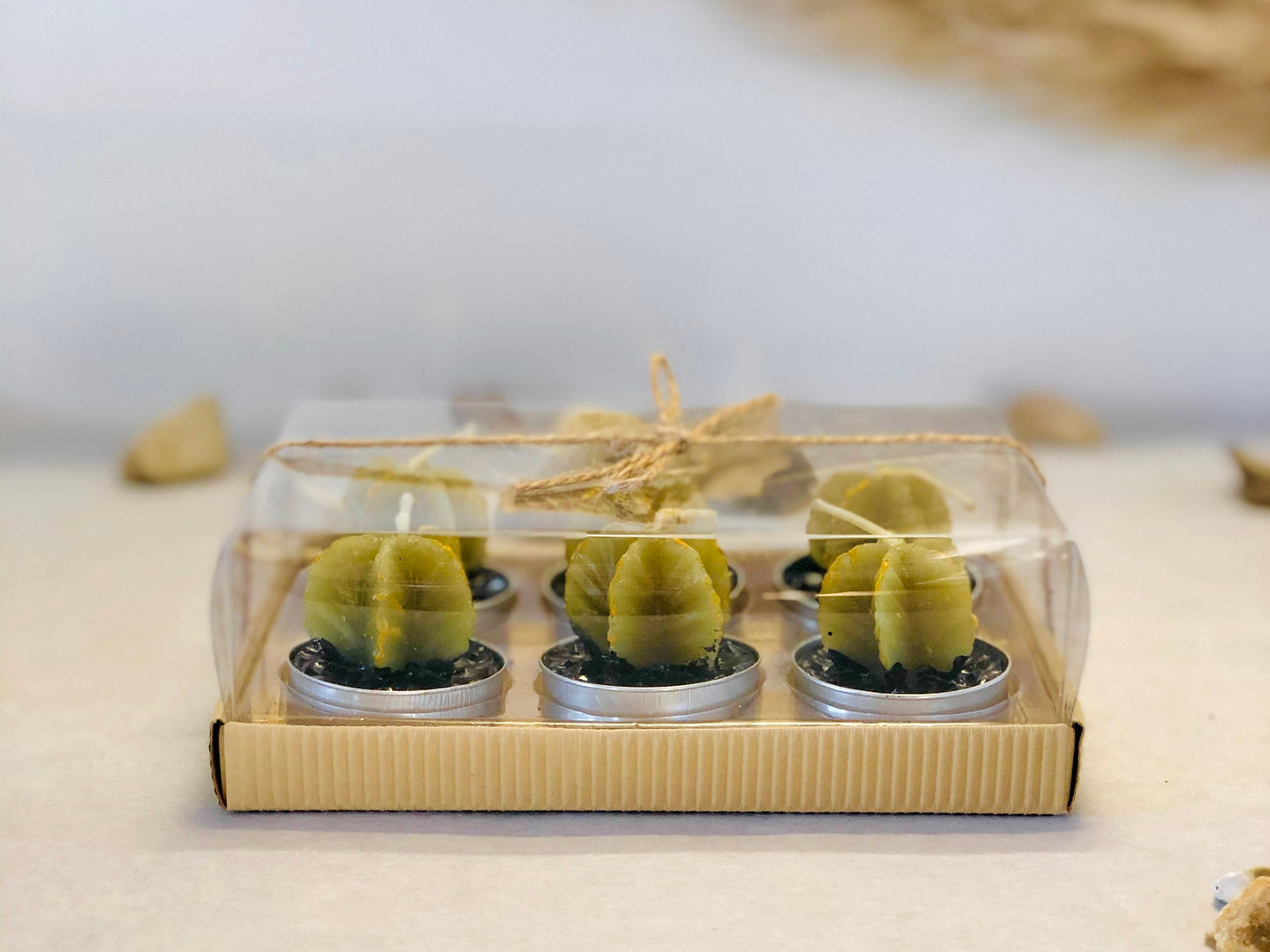 Star Cactus Tealight Gift Set - Star Cactus Candle Set