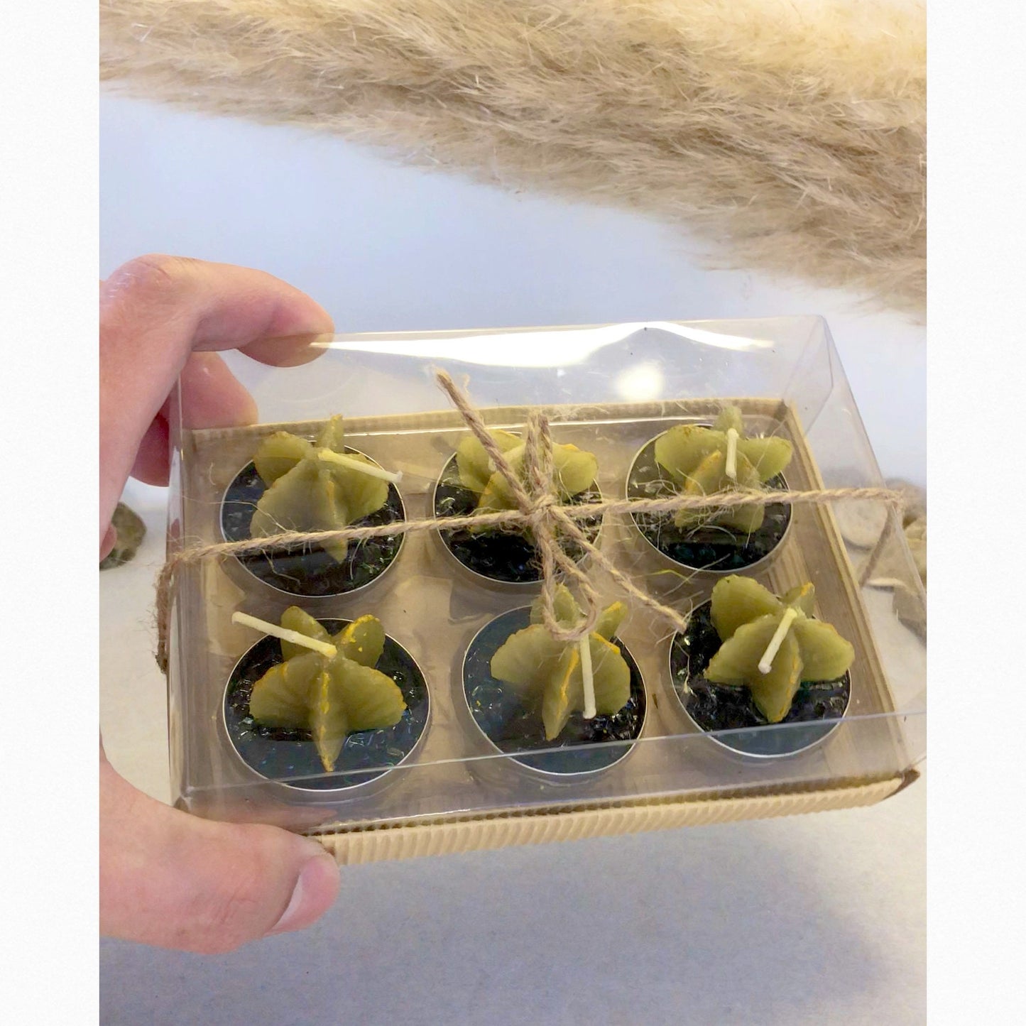 Star Cactus Tealight Gift Set - Star Cactus Candle Set