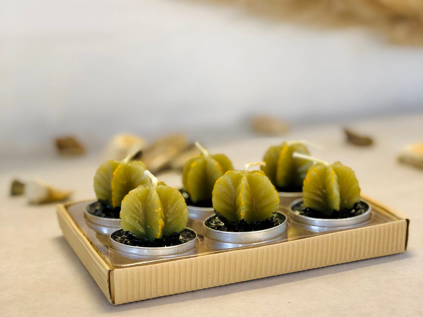 Star Cactus Tealight Gift Set - Star Cactus Candle Set