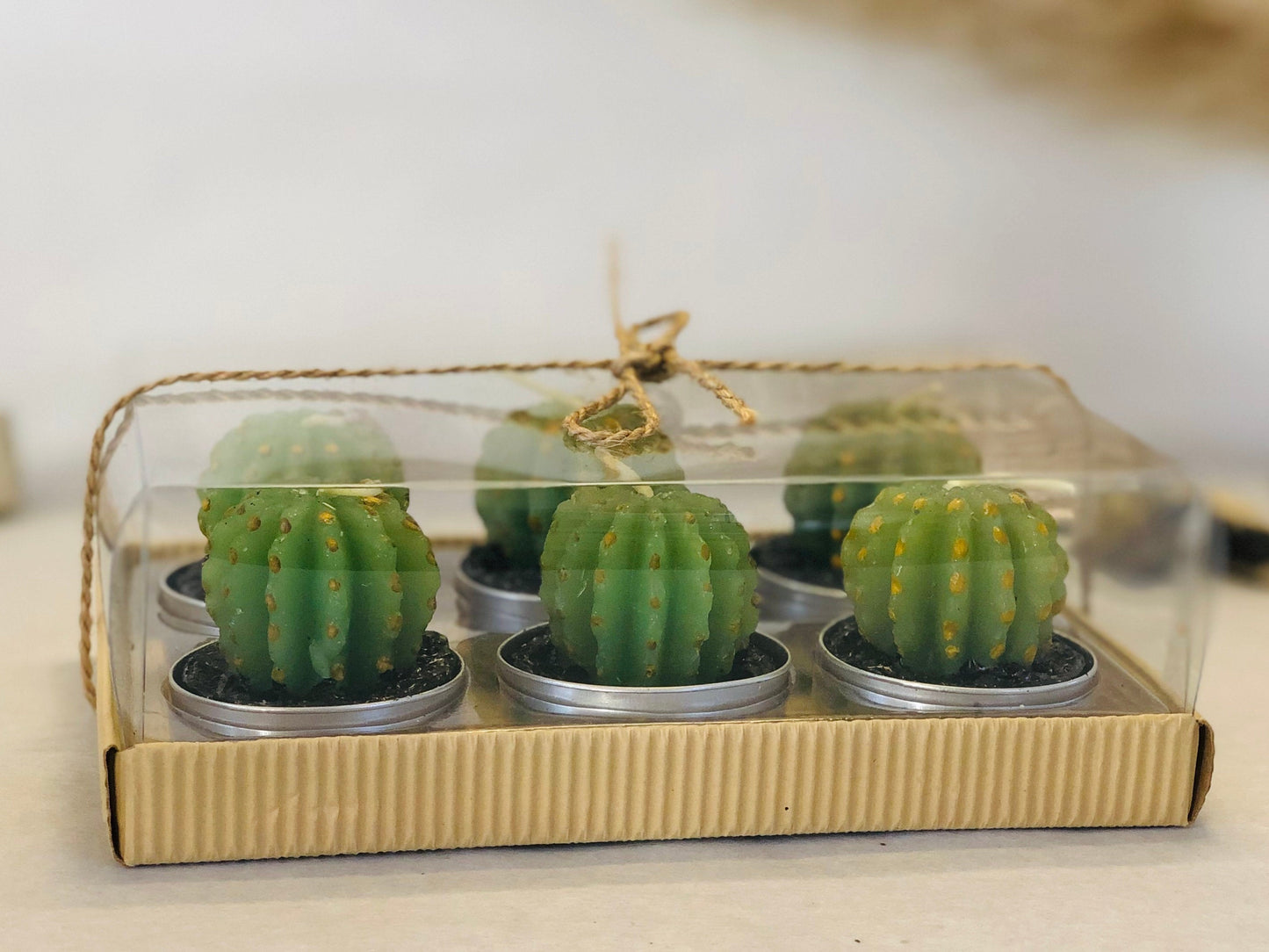 Monks Hood Cactus Candles - Green Cactus Tealight Candle Set