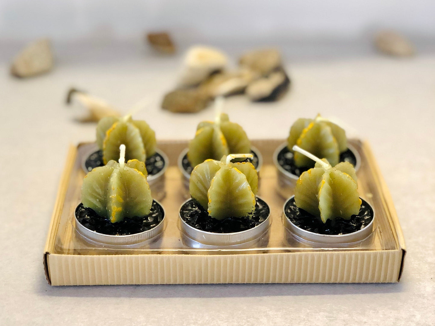 Star Cactus Tealight Gift Set - Star Cactus Candle Set