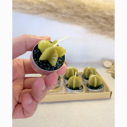 Star Cactus Tealight Gift Set - Star Cactus Candle Set