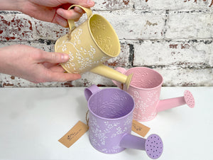 Colourful Mini Watering Cans - Garden Water Cans