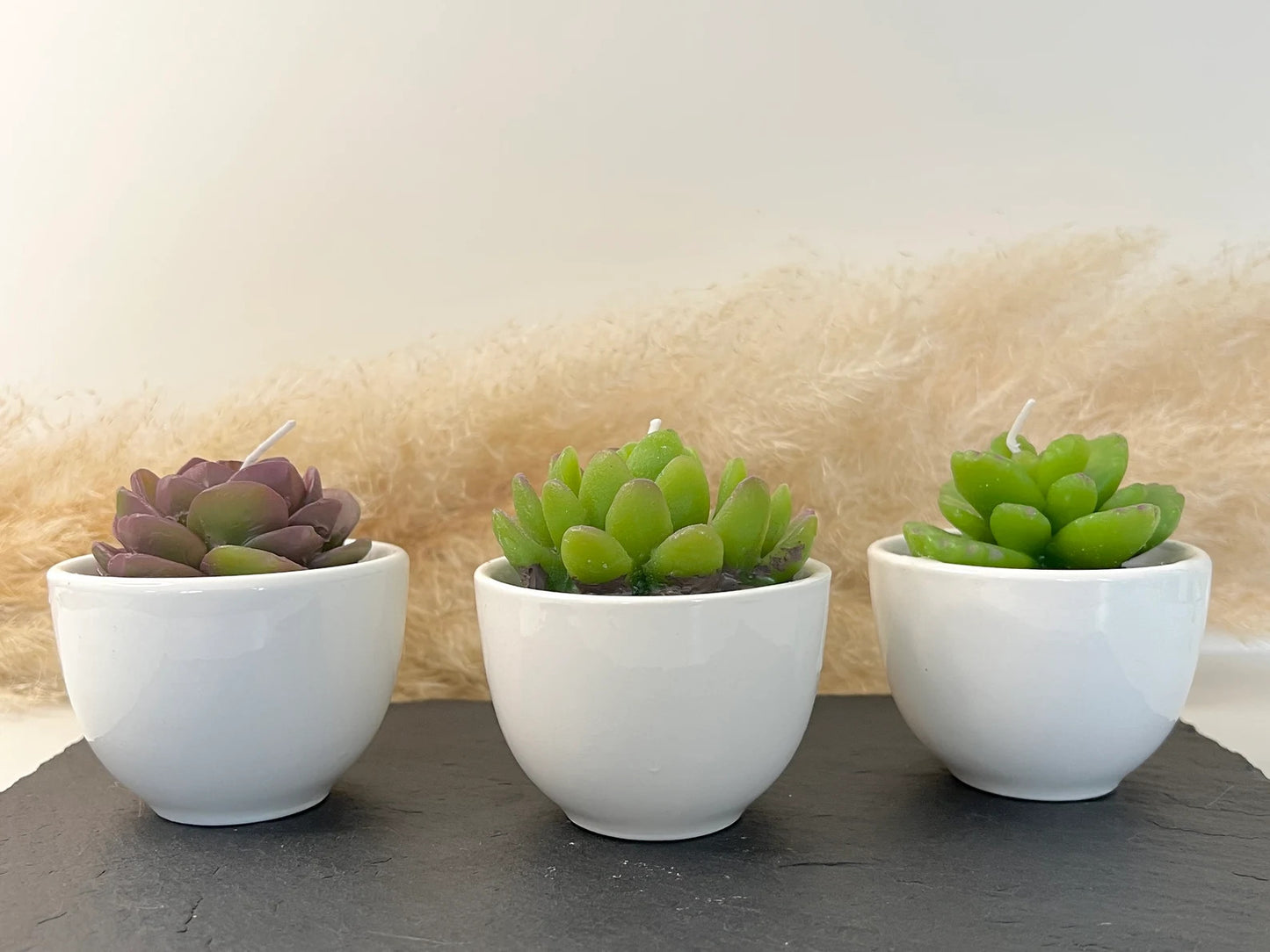 Succulent Candles in Ceramic Pots - Cacti Candle