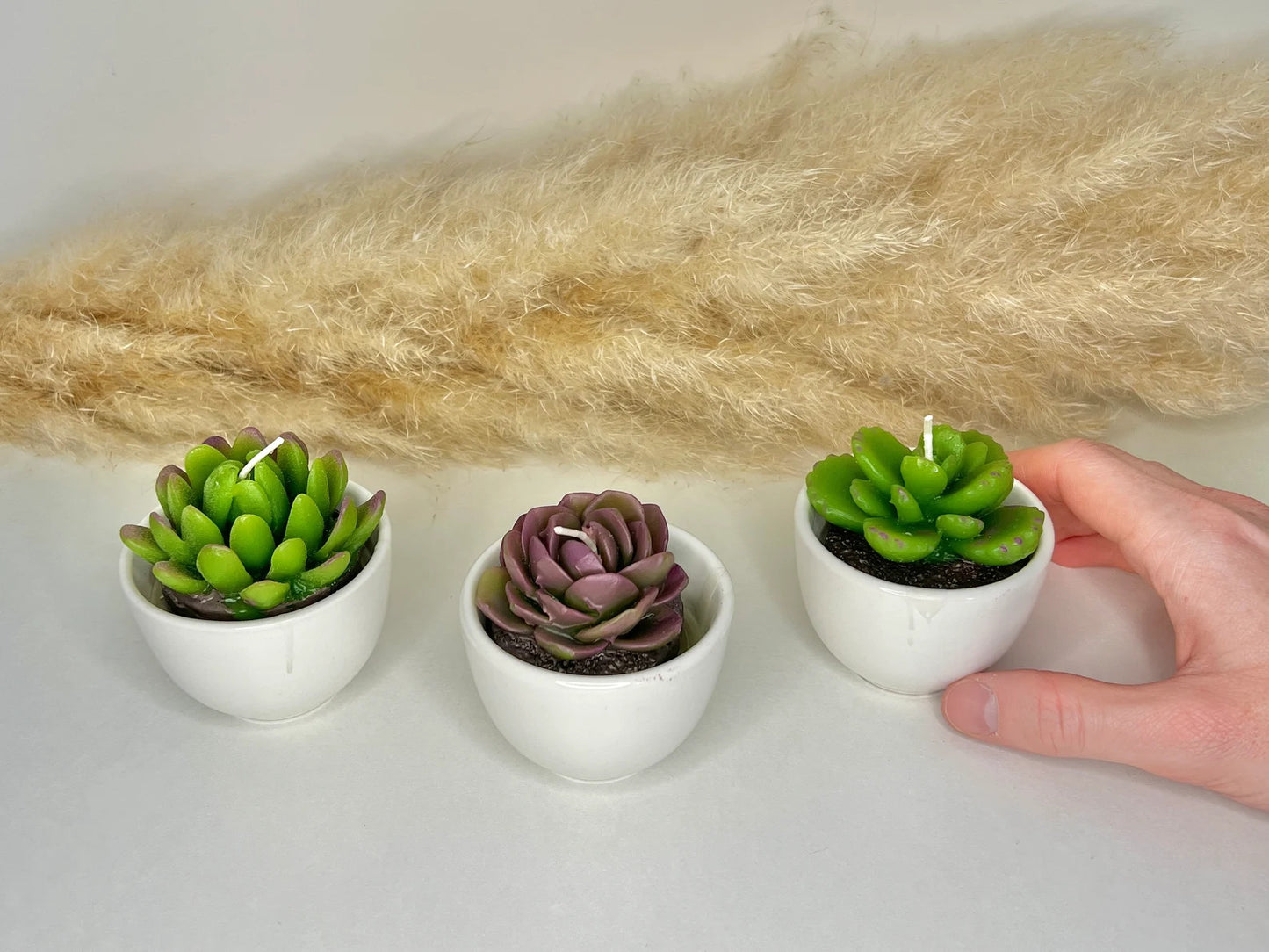 Succulent Candles in Ceramic Pots - Cacti Candle