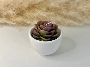 Succulent Candles in Ceramic Pots - Cacti Candle