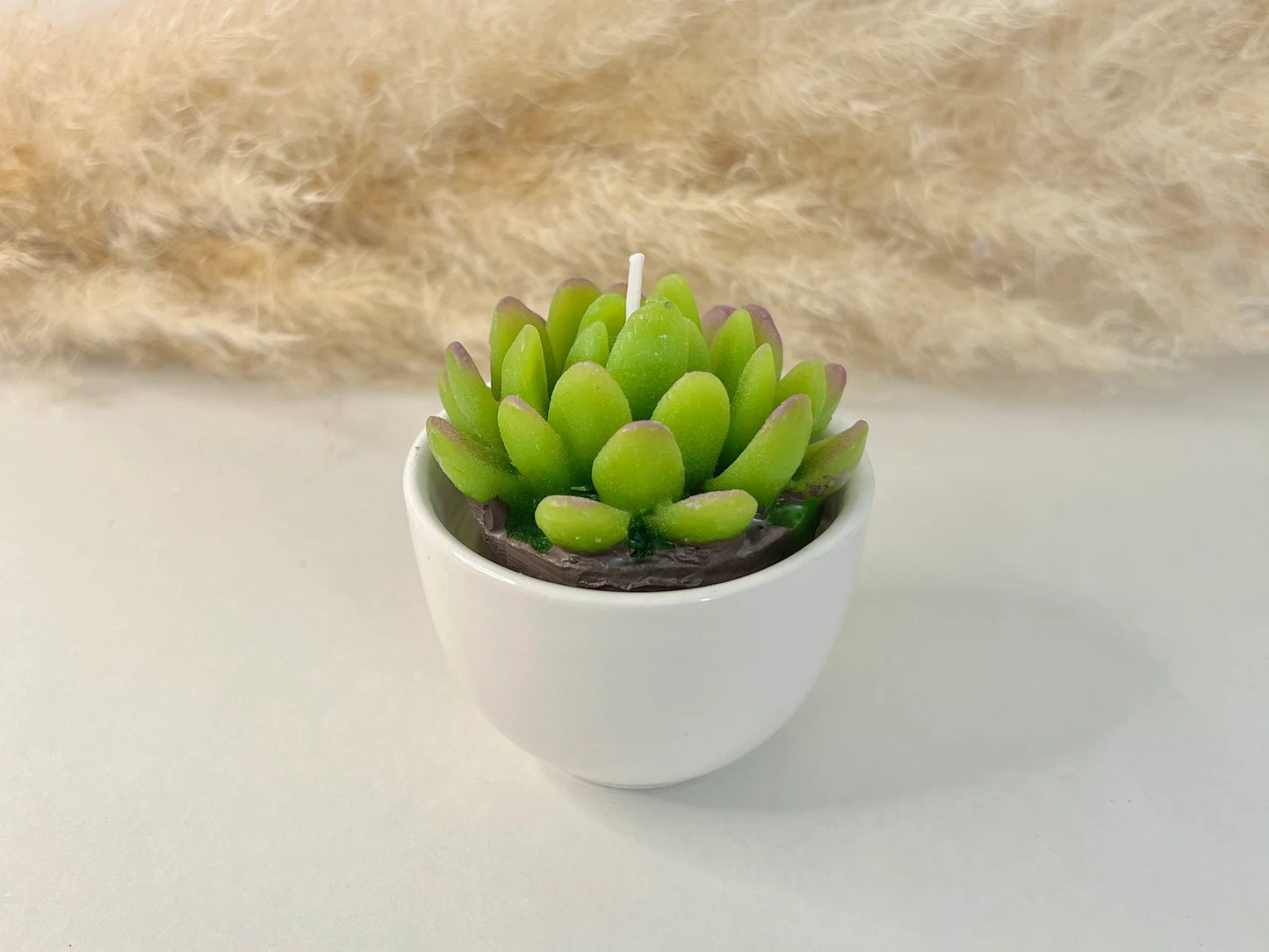 Succulent Candles in Ceramic Pots - Cacti Candle