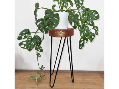 Wooden Plant Stands - Wood Houseplant Stands - House Plant Holders