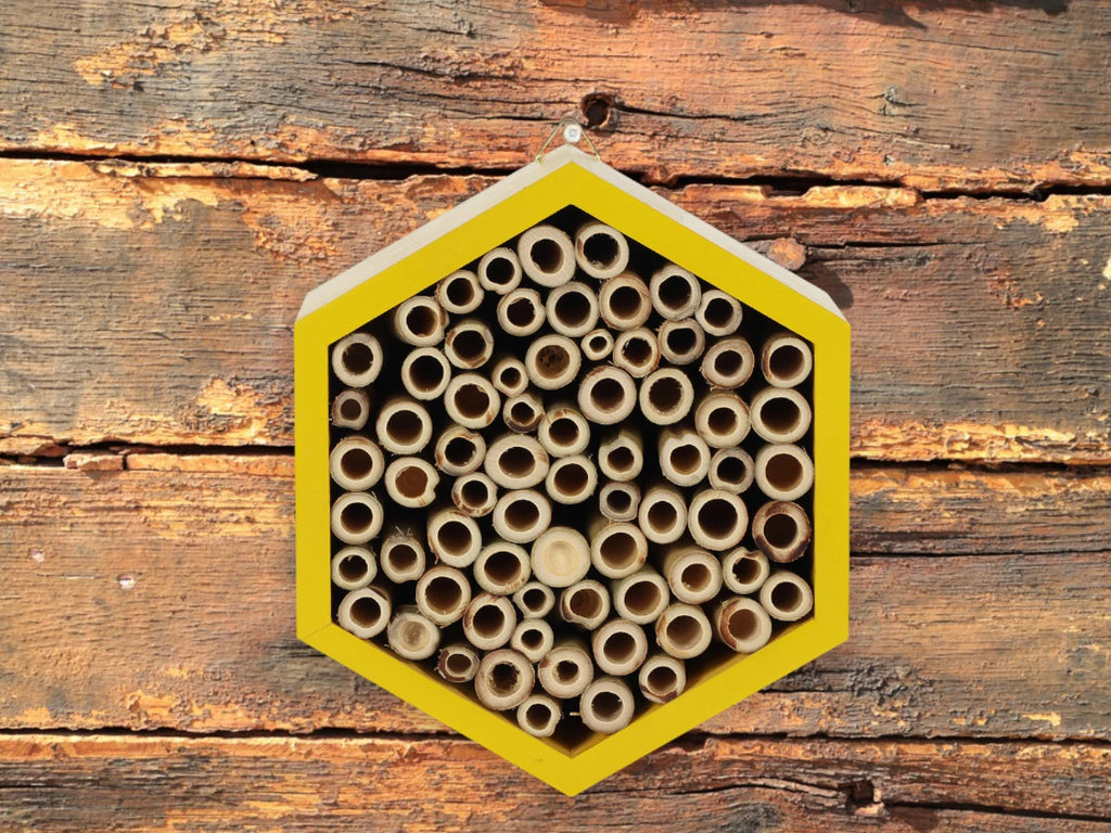 Wooden Bee Hive Insect Hotel - Sustainable Bee Habitat